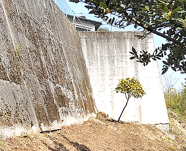 Stützmauer von unten